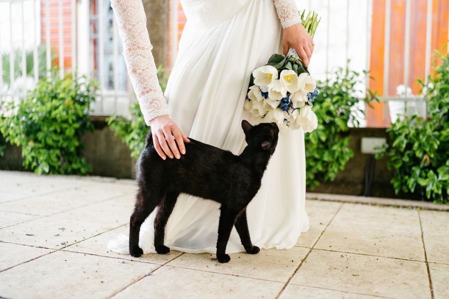 How to Include Your Pets in Your Wedding