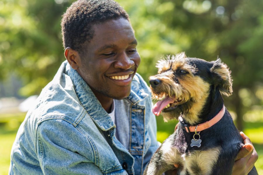 Everything You Need to Know About Rabies and Your Pets