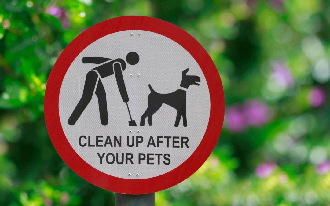 Park Sign clean up after your pets