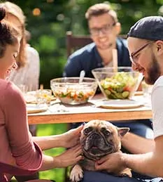 DOG FRIENDLY EVENTS IN FRISCO TEXAS