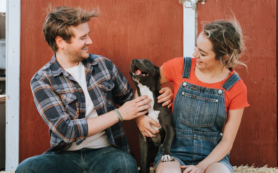 Adopt, Don’t Shop! Rescue an Animal in Dallas & Austin