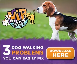 3 Dog Walking Problems You Can Fix Download PDF