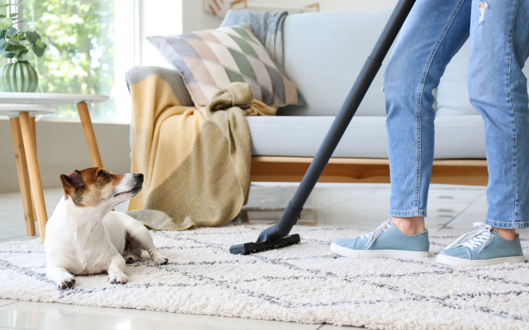 Tips for Spring Cleaning with Pets