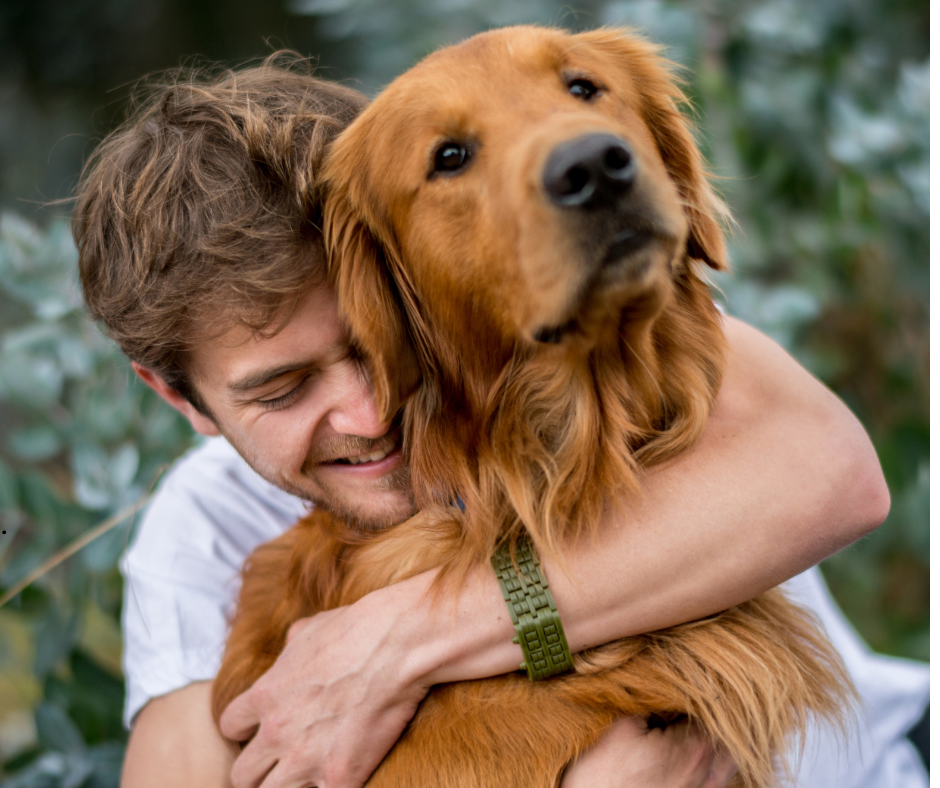 Dog dad hugs Golden retriever