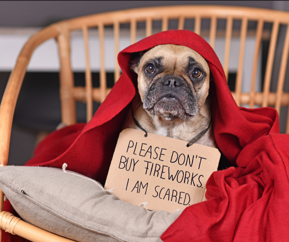 Dog with fireworks anxiety holds sign saying don't buy fireworks