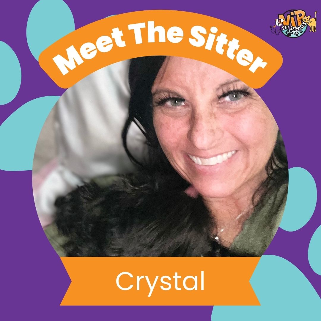 pet sitter crystal