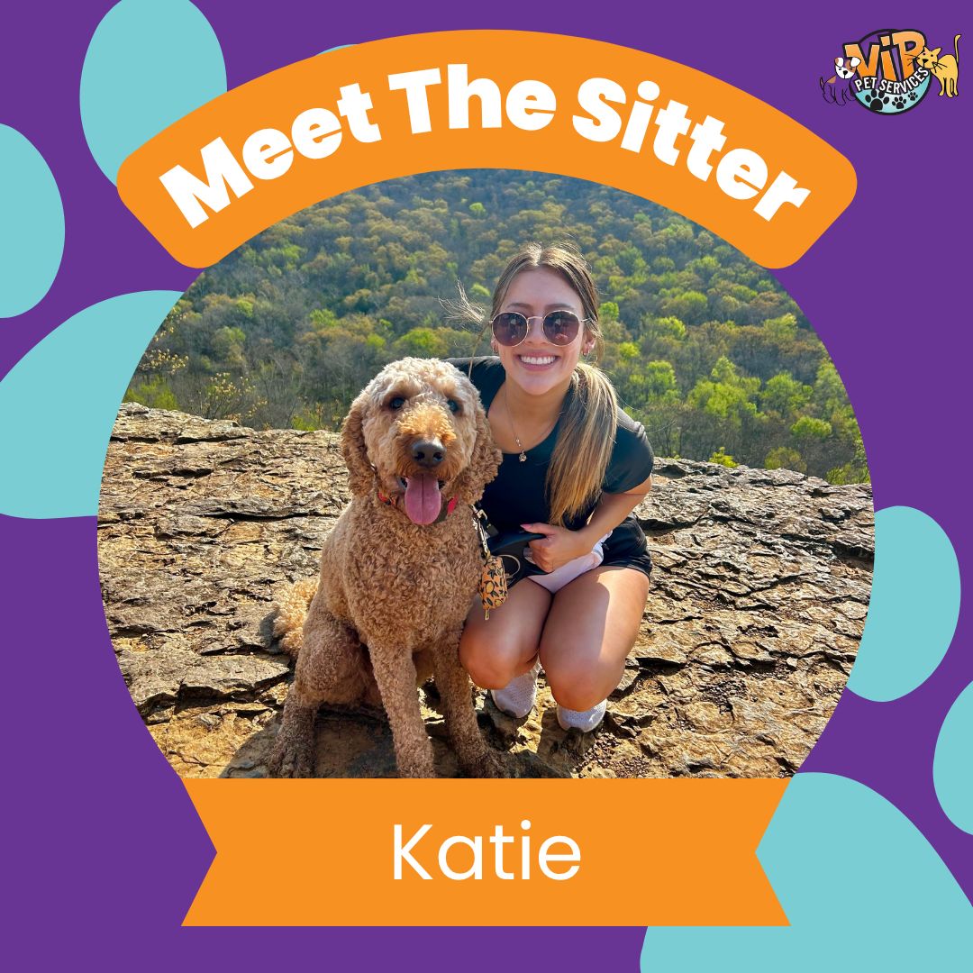 Katie - Pet Sitter