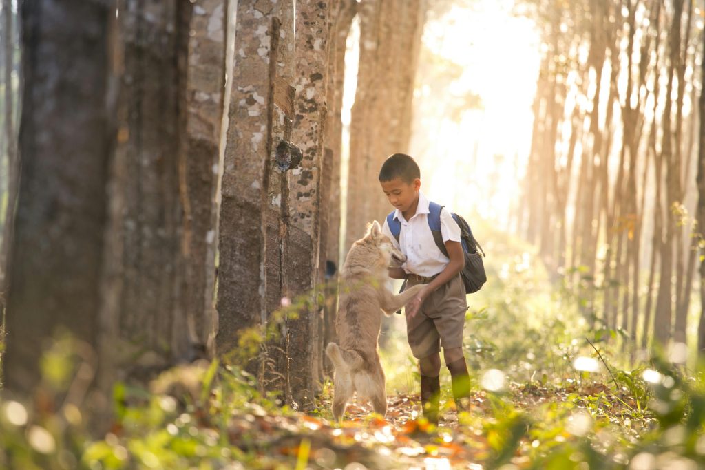 Back-to-School Survival Guide for Pet Owners