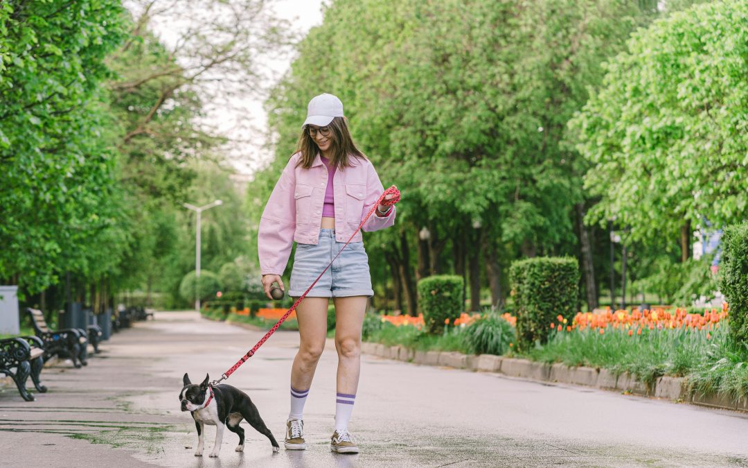 The Hidden Cost of Cheap Pet Sitting: Why Quality Care Matters