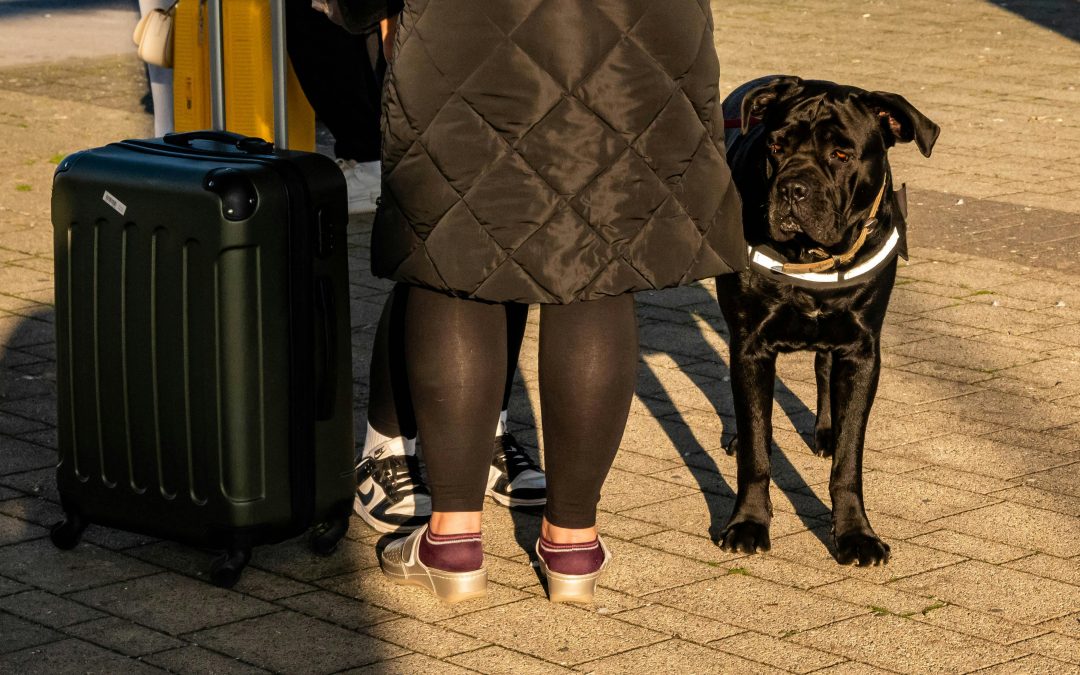 Planning a Trip? Here’s the Ultimate Pre‑Travel Checklist for Pets Staying Home