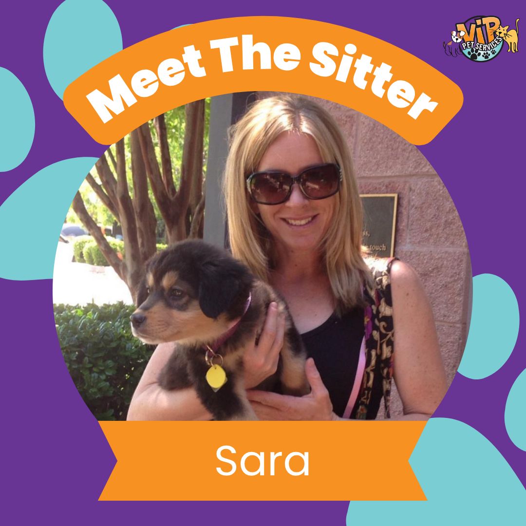 Sara F - MTS Frame