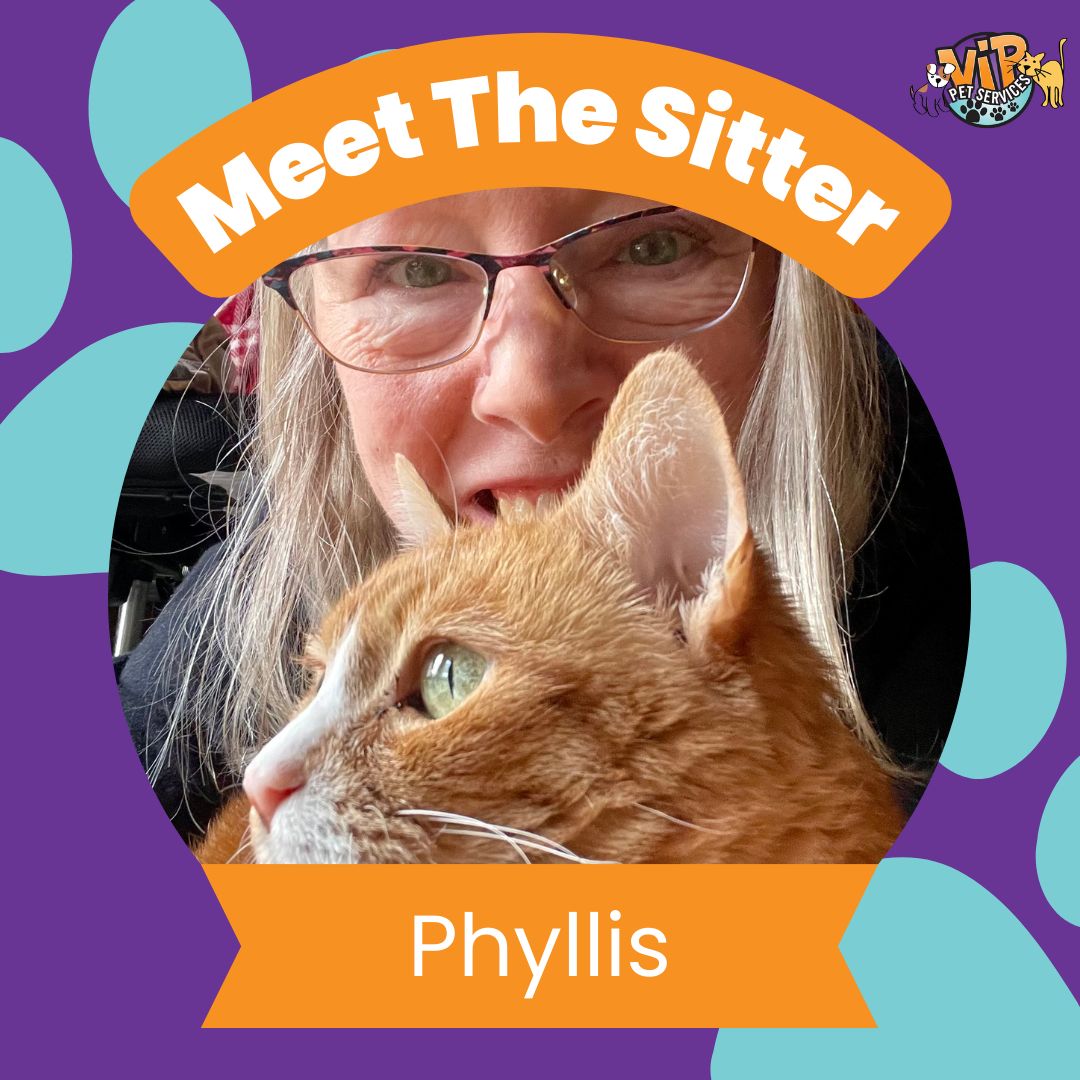 Phyllis D - MTS Frame