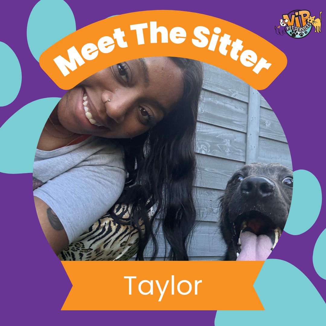 Taylor P - MTS Frame