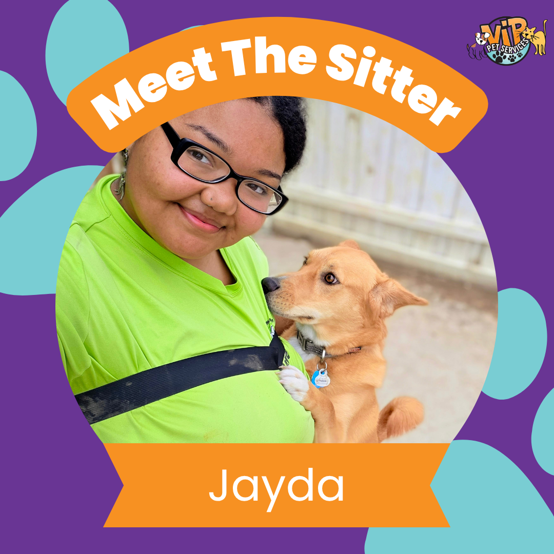 Jayda B - MTS Frame